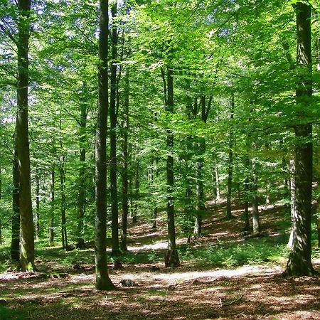 Gites La Tabatiere Laforêt Esterno foto