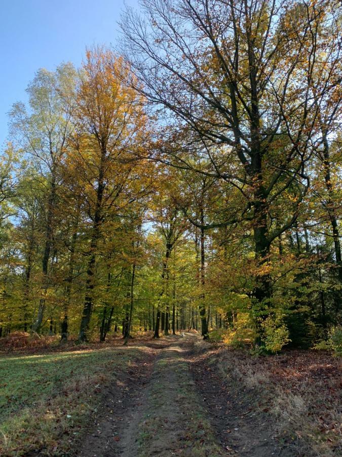Gites La Tabatiere Laforêt Esterno foto
